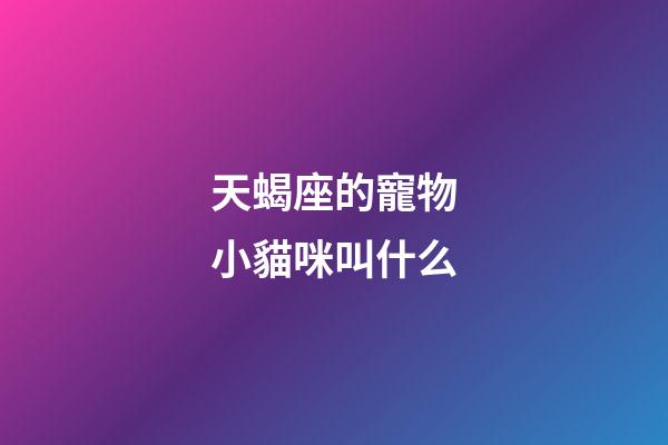 天蝎座的寵物小貓咪叫什么