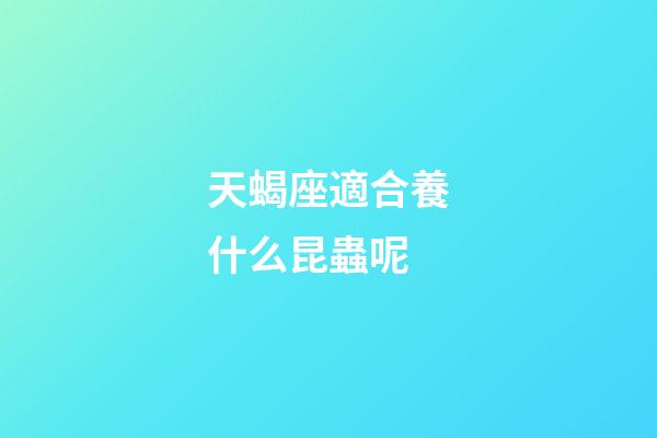 天蝎座適合養什么昆蟲呢
