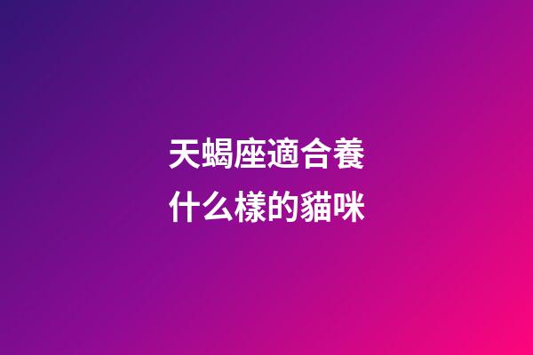 天蝎座適合養什么樣的貓咪-第1張-星座運勢-玄機派
