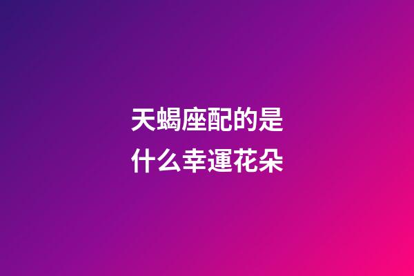 天蝎座配的是什么幸運花朵