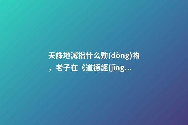 天誅地滅指什么動(dòng)物，老子在《道德經(jīng)》告訴我們