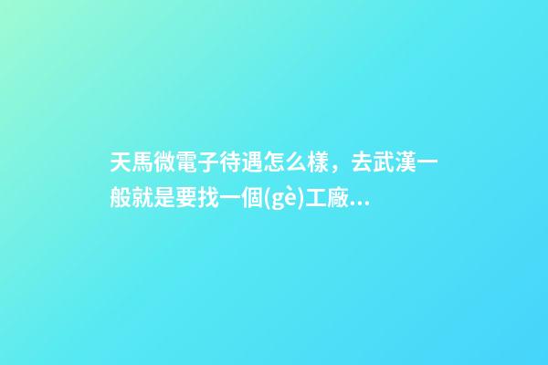 天馬微電子待遇怎么樣，去武漢一般就是要找一個(gè)工廠上班-第1張-觀點(diǎn)-玄機(jī)派