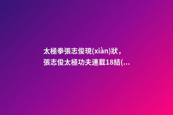 太極拳張志俊現(xiàn)狀，張志俊太極功夫連載18結(jié)緣太極