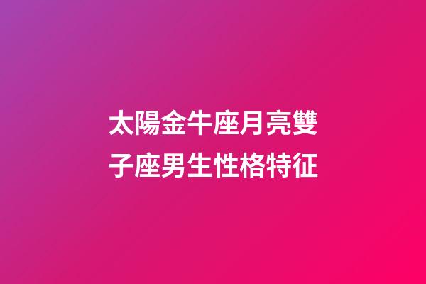 太陽金牛座月亮雙子座男生性格特征-第1張-星座運勢-玄機派