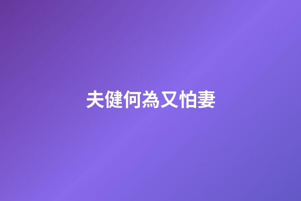 夫健何為又怕妻
