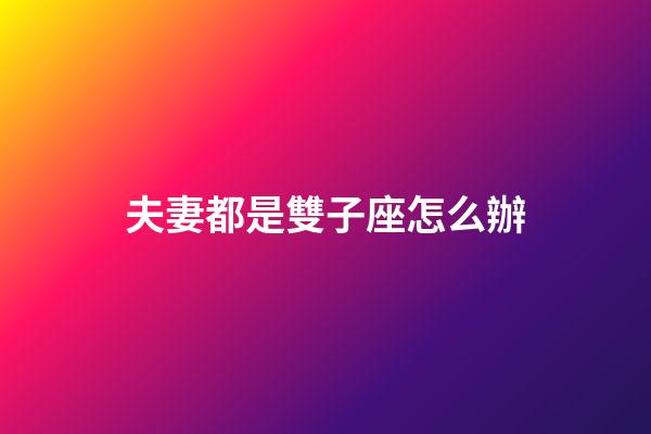 夫妻都是雙子座怎么辦-第1張-星座運勢-玄機派