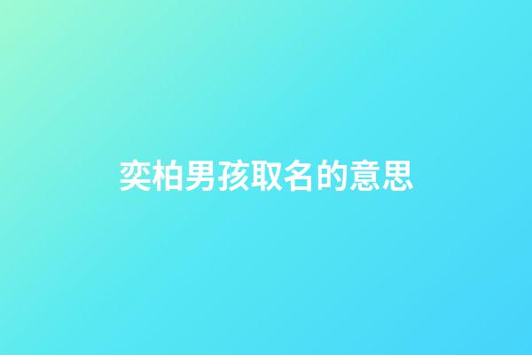 奕柏男孩取名的意思(奕柏男孩取名的意思是什么)-第1張-男孩起名-玄機派