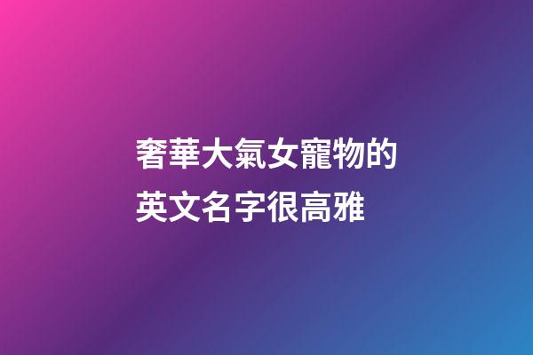 奢華大氣女寵物的英文名字很高雅