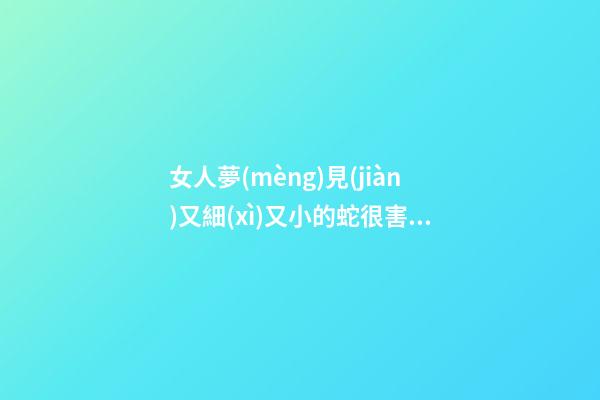 女人夢(mèng)見(jiàn)又細(xì)又小的蛇很害怕，孕婦夢(mèng)見(jiàn)蛇有什么寓意-第1張-觀點(diǎn)-玄機(jī)派