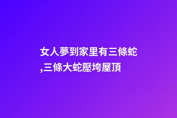 女人夢到家里有三條蛇,三條大蛇壓垮屋頂-第1張-觀點-玄機派