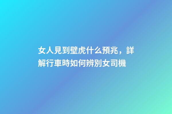 女人見到壁虎什么預兆，詳解行車時如何辨別女司機-第1張-觀點-玄機派