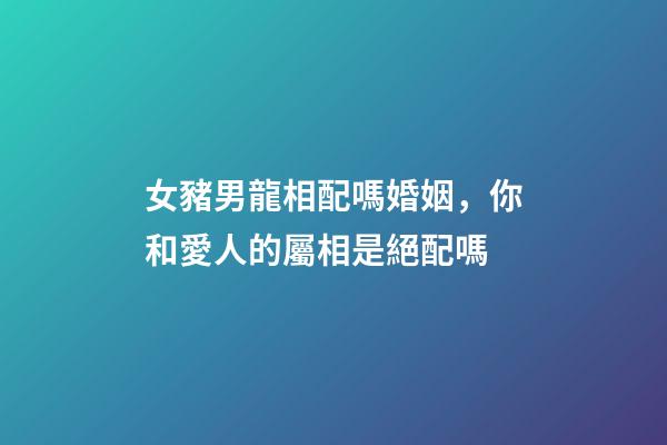 女豬男龍相配嗎婚姻，你和愛人的屬相是絕配嗎-第1張-觀點-玄機派