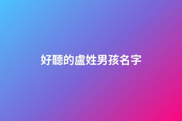 好聽的盧姓男孩名字(姓盧的男孩名字洋氣得有意義)-第1張-男孩起名-玄機派