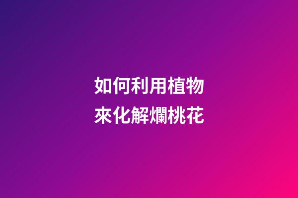 如何利用植物來化解爛桃花
