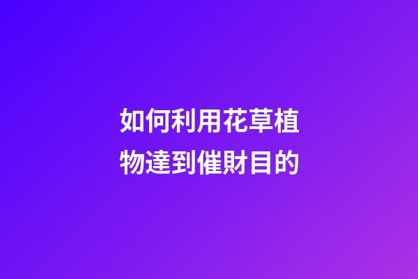 如何利用花草植物達到催財目的