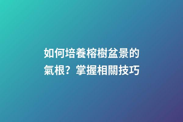 如何培養榕樹盆景的氣根？掌握相關技巧