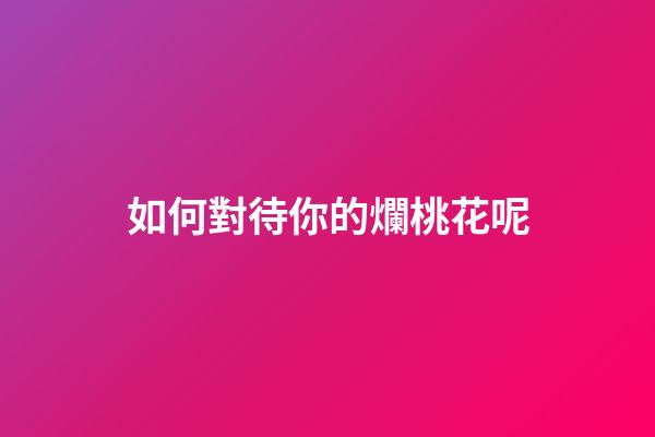如何對待你的爛桃花呢