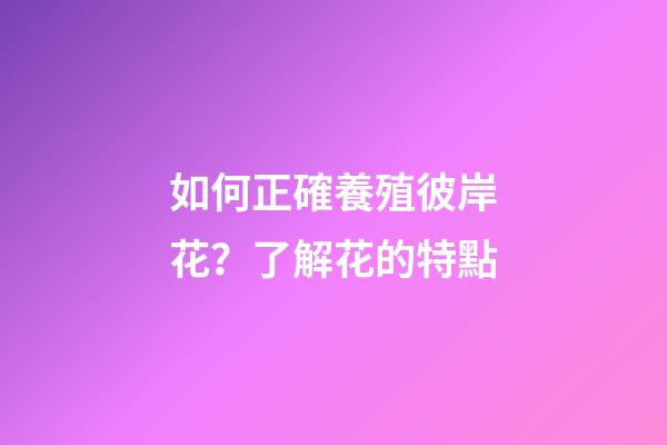 如何正確養殖彼岸花？了解花的特點