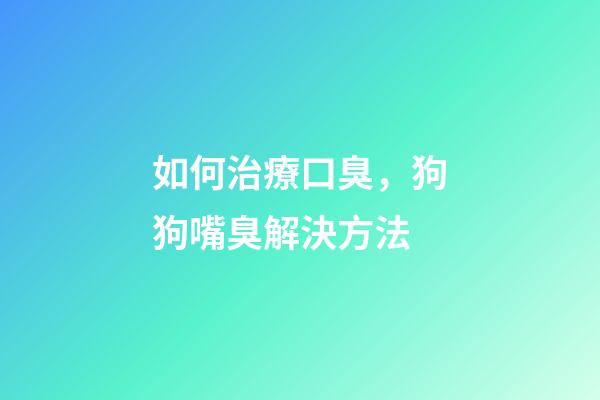 如何治療口臭，狗狗嘴臭解決方法-第1張-觀點-玄機派