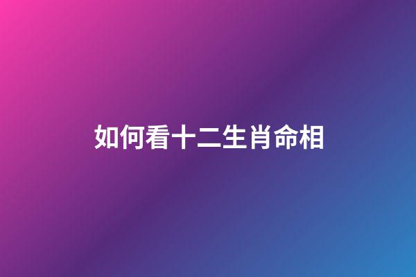 如何看十二生肖命相
