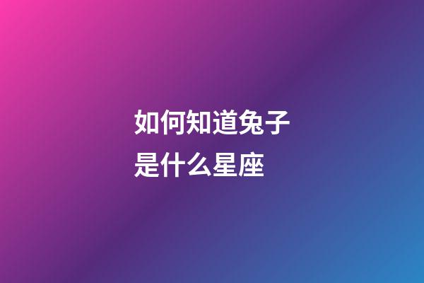 如何知道兔子是什么星座-第1張-星座運勢-玄機派
