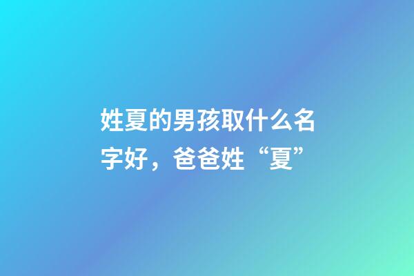 姓夏的男孩取什么名字好，爸爸姓“夏”-第1張-觀點-玄機派