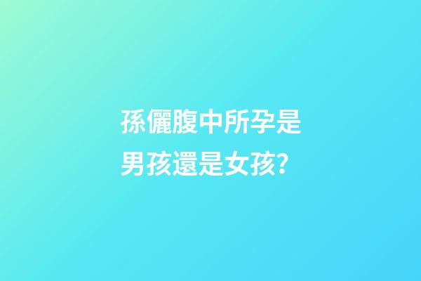 孫儷腹中所孕是男孩還是女孩？