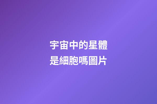 宇宙中的星體是細胞嗎圖片