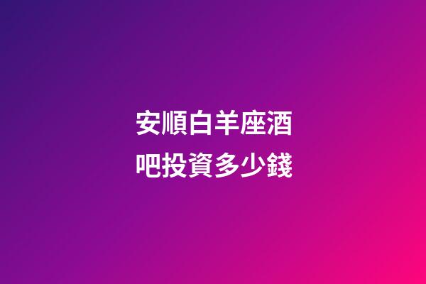 安順白羊座酒吧投資多少錢