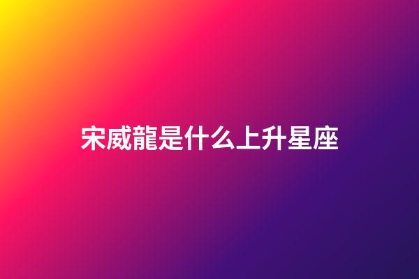 宋威龍是什么上升星座-第1張-星座運(yùn)勢(shì)-玄機(jī)派