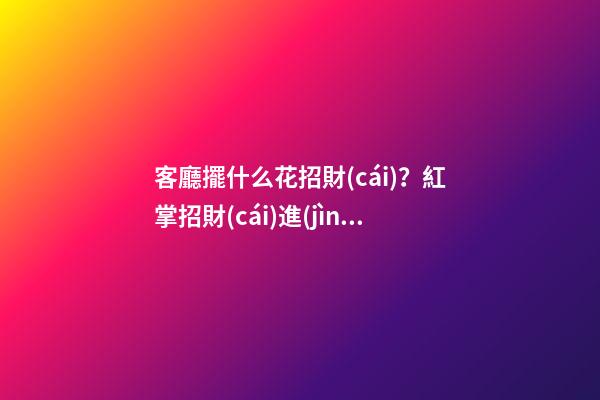 客廳擺什么花招財(cái)？紅掌招財(cái)進(jìn)寶