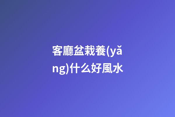 客廳盆栽養(yǎng)什么好風水