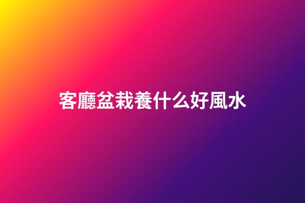 客廳盆栽養什么好風水