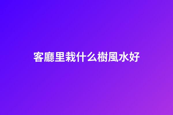 客廳里栽什么樹風水好
