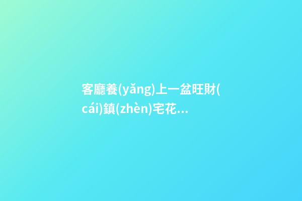 客廳養(yǎng)上一盆旺財(cái)鎮(zhèn)宅花，事事順意，就等著財(cái)源滾滾來(lái)吧！