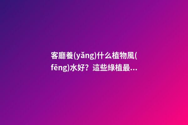 客廳養(yǎng)什么植物風(fēng)水好？這些綠植最受歡迎