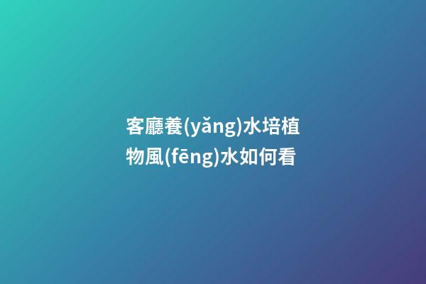 客廳養(yǎng)水培植物風(fēng)水如何看