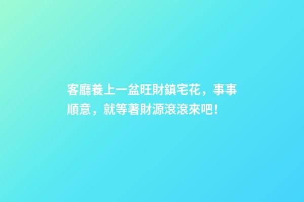 客廳養上一盆旺財鎮宅花，事事順意，就等著財源滾滾來吧！