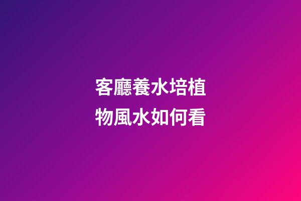 客廳養水培植物風水如何看