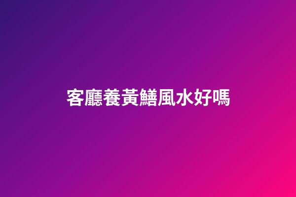 客廳養黃鱔風水好嗎