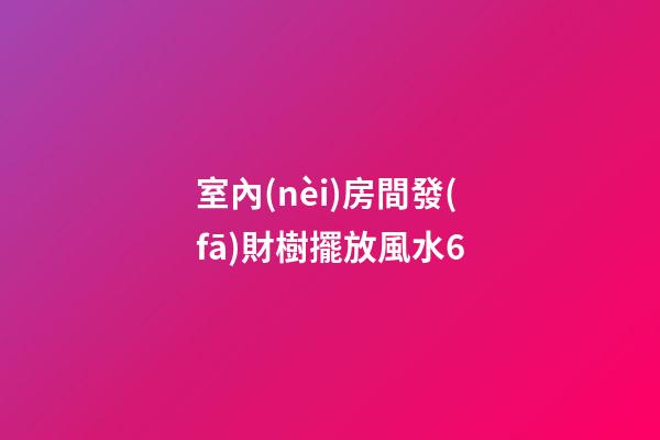 室內(nèi)房間發(fā)財樹擺放風水6