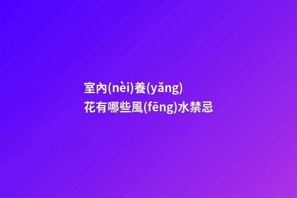 室內(nèi)養(yǎng)花有哪些風(fēng)水禁忌