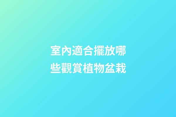 室內適合擺放哪些觀賞植物盆栽
