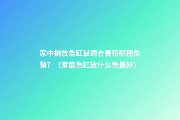 家中擺放魚缸最適合養殖哪種魚類？（家庭魚缸放什么魚最好）