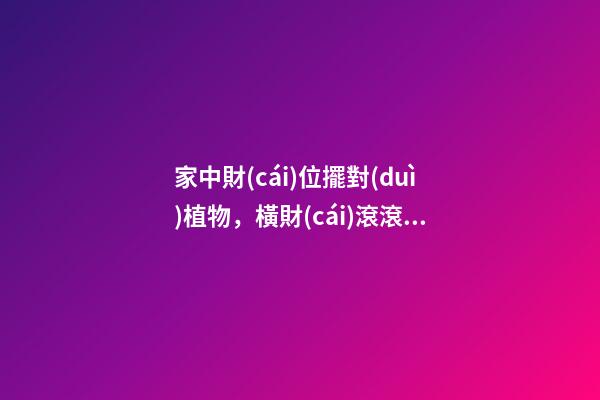 家中財(cái)位擺對(duì)植物，橫財(cái)滾滾來