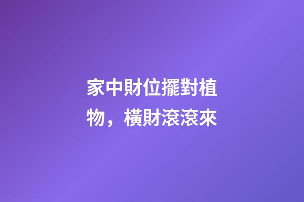 家中財位擺對植物，橫財滾滾來