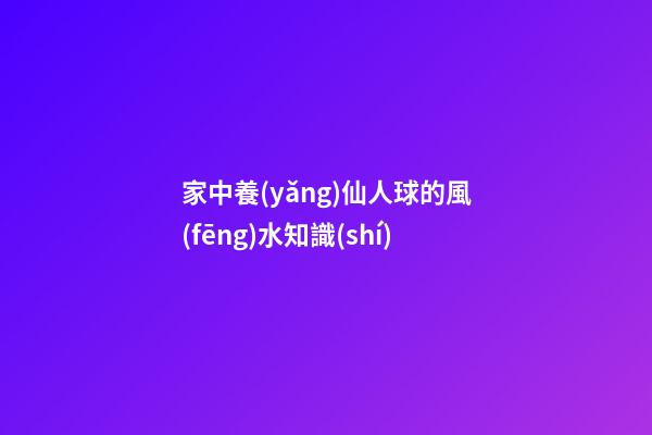 家中養(yǎng)仙人球的風(fēng)水知識(shí)