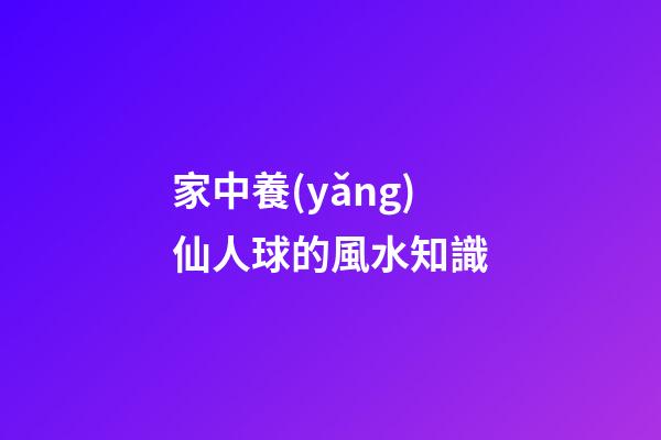 家中養(yǎng)仙人球的風水知識