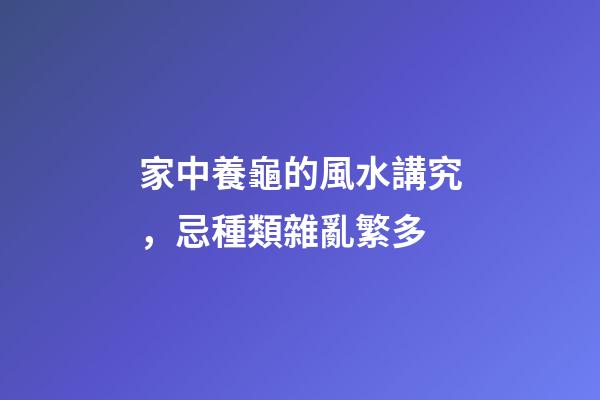 家中養龜的風水講究，忌種類雜亂繁多