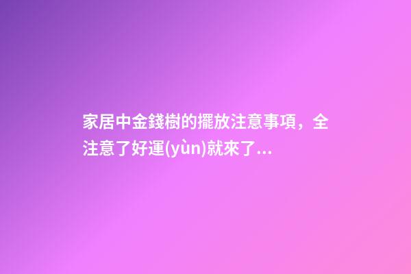 家居中金錢樹的擺放注意事項，全注意了好運(yùn)就來了！